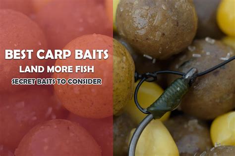 carp fishing bait secrets.